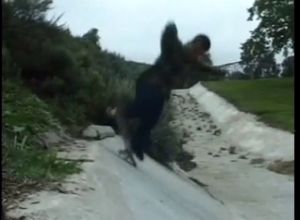 Секси дамочка трахается с карликовым мачо